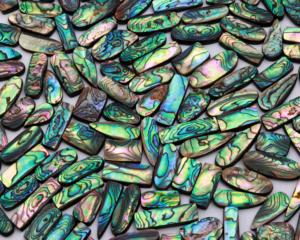 Wholesale Natural <b>Abalone</b> <b>Shell</b> Cabochon Mix Shape Colorful Paua <b>Shell</b> Loose Cabochons for Jewelry Making - Product Image 3