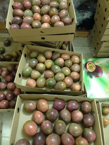 Pulpe de fruit de la passion congelée avec des graines créées à partir de fruits mûrs pour une utilisation culinaire et d'exportation fournie par des données vietnamiennes 99 Gold - Product Image 2