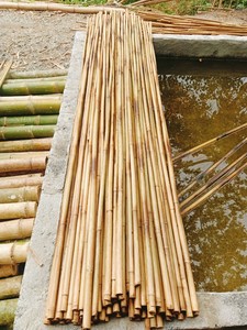 HOT SELLER HOT TRENDING 2026 100% Natural Bamboo Stakes & Canes Branch Gardening Eco2go Vietnam Made 0.5-2m 10-20mm - Product Image 1