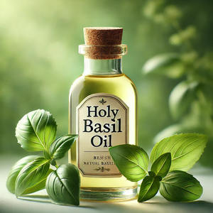 Venta al por mayor de aceite esencial de Albahaca Santa aceite de Tulsi de calidad superior Extracto de planta natural destilado al vapor - Product Image 1