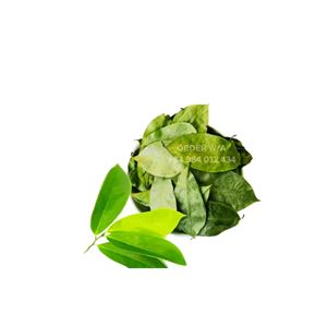 Suministro de Hojas de Guanábana Secas Estándar para Exportación, Ingrediente para Té - Product Image 1