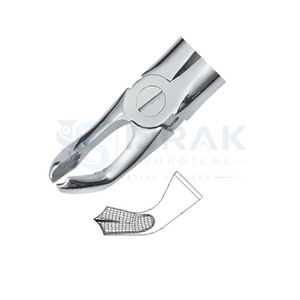 คีมถอนฟัน ฟันหน้าบน รากฟัน สแตนเลส เครื่องมือผ่าตัดแบบใช้มือ คลาส 1 - Product Image 2