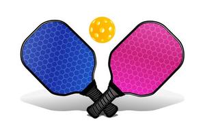 Juego de Palas de Pickleball de Alta Calidad con Pelota, Agarre Antideslizante y Superficie de Panal para Juego de Pickleball en Interiores y Exteriores - Product Image 5