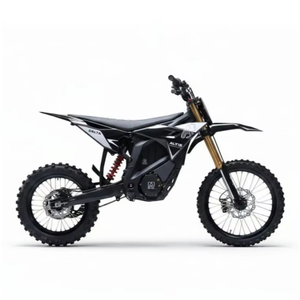 New Release For Altis Del/taa <b>72V</b> 35A 13kW Adult Electrics Di/rt Bike With 2 Years Warranty Available For Bulk Order - Product Image 1