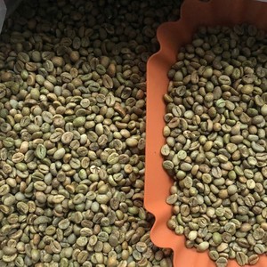 Grains de café vert Robusta du Vietnam, taille 18, café instantané pur du Vietnam, grains de Robusta, export en vrac, fournisseur de café en gros - Product Image 6