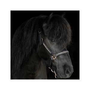 Rub International - Halter en cuir de haute qualité modèle 7860H avec chaîne à fixation thermique, taille et logo personnalisables pour l'équitation - Product Image 2