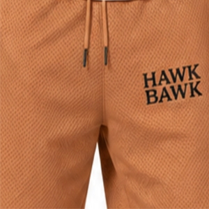 Men <b>Mesh</b> <b>Shorts</b> Lightweight Casual Drawcord Style Breathable <b>Mesh</b> Texture Quick Dry Casual Sport <b>Shorts</b> Front Logo Print <b>Shorts</b> - Product Image 4