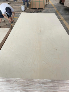 Contrachapado de Chapa de Abedul Grado D/DD, Certificado E0 E1 CARB P2 para Fabricación de Muebles y Paneles Interiores, Fábrica en Vietnam, 4x8 - Product Image 4
