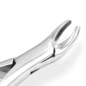 Forceps d'extraction dentaire # Instrument d'extraction dentaire supérieur et inférieur en acier inoxydable, poignée ergonomique manuelle, certifié CE, dentaire - Product Image 4
