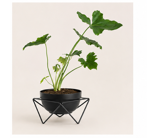 Macetero Metálico Moderno y Minimalista con Soporte Geométrico de Hierro, Estilo Interior, Maceta Redonda para Decoración de Sala de Estar o Escritorio - Product Image 5