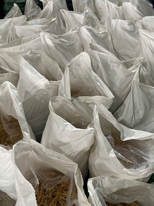 Eucheuma cottonii สาหร่าย/มอสทะเลแห้งคุณภาพสูงจากเวียดนาม/มิสลิมา - Product Image 4