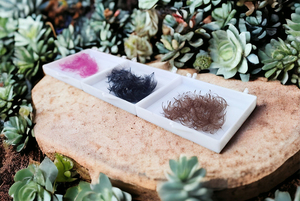 ขนตาปลอมสำเร็จรูป ELFA ผลิตด้วยมือจากเกาหลี ใย PBT นุ่มเป็นธรรมชาติ ยาว ขนตาแบบพัด แกนสั้น แกนยาว  ทรง CC Curl  แบบหลวม  ขนาด 0.05/0.07 มม. - Product Image 5