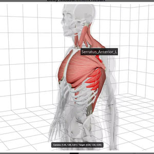 Analizador Corporal Inteligente Bodydot BDF1000 con IA, Marco de Aleación de Aluminio, No Plegable, Flexible, Seguimiento de Postura Corporal Completa - Product Image 1