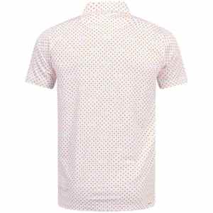 เสื้อโปโลผู้ชายแบบสั่งทำ OEM ยอดนิยมสำหรับฤดูร้อน ดีไซน์ใหม่ สไตล์ธุรกิจ แขนสั้น แบบเสื้อยืด - Product Image 4