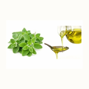 Aceite Esencial de Orégano 100% Puro, Natural y Orgánico de la Mejor Calidad del Mejor Fabricante, Precio al por Mayor a Nivel Mundial, Organum Vulgare - Product Image 5