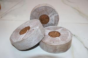 Pellets de coco bio en gros, pellets Jiffy pour le développement précoce des plantes |   Fabricant et exportateur d'Inde - Product Image 4