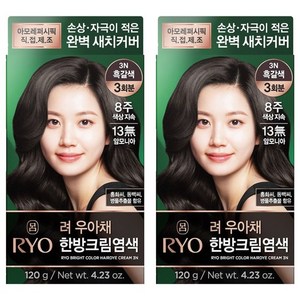 120G*2ea Ryo Uachae Stylish Gray Fish Cream Dark Brown <b>Foam</b> Temporary Hair Color 3N <b>Model</b> 8809925188570 Korean All Hair Types - Product Image 1