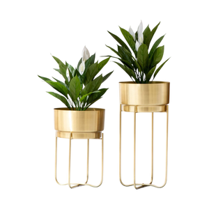 Macetas de metal dorado con soportes, juego de 2 macetas cilíndricas modernas para plantas de suelo, los soportes de hierro evitan el anillo de agua. - Product Image 6