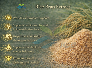 โรงงาน HGO จัดจำหน่ายสารสกัดรำข้าวธรรมชาติ เกรดอาหาร ความเข้มข้นสเปอร์มิดีน 0.2% สารสกัดมาตรฐาน - Product Image 5