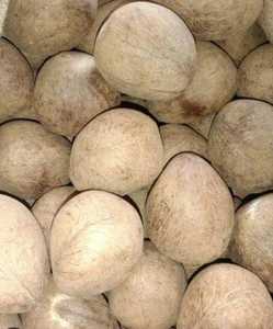 Éclats de coquille de noix de coco séchés bruts pour la fabrication de charbon de bois, artisanat, écologiques, durables, coquille de noix de coco dure, approvisionnement en vrac - Product Image 4