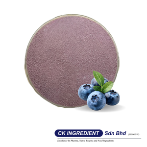 Polvo de Jugo de Arándanos de Primera Calidad, Halal, OEM, B2B, Mejor Proveedor Garantizado, Natural, Salud Ocular, Antioxidante, Superalimento - Product Image 2