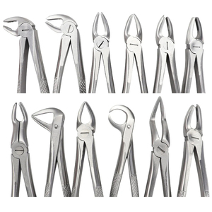 ชุดคีมถอนฟัน 10 ชิ้น สแตนเลสสตีล เครื่องมือผ่าตัดจัดฟันแบบแมนนวล คลาส 1 สีเงิน - Product Image 4