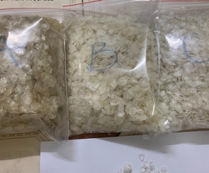 เกล็ดปลา ผลิตภัณฑ์ส่งออกยอดนิยม วัตถุดิบทางทะเลธรรมชาติ เวียดนาม - Product Image 6