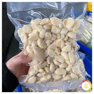Ajo Congelado Pelado IQF 1kg, Empaque a Granel, Grado de Exportación, Origen Vietnam, 99 GOLD DATA - Product Image 4