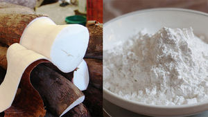 Amidon de tapioca vietnamien pur, polyvalent, sain et idéal pour la transformation alimentaire et l'exportation – Meilleure qualité à prix compétitif. - Product Image 2