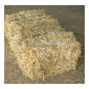 Alimento para animales con alto contenido de proteínas para ganado porcino, pacas de heno de paja de trigo picado secado a caballo empaquetadas en bolsas - Product Image 6
