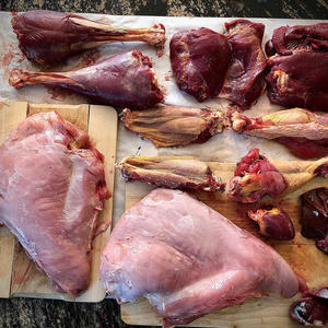 Pavo Entero Congelado Orgánico de Primera Calidad con Vitaminas, Empaque a Granel para Suministro al por Mayor y Exportación - Product Image 1