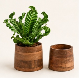 Juego de Macetas de Madera de Mango Sostenible Hechas a Mano, Macetas Decorativas Redondas Ecológicas para Interiores, Oficina y Decoración Moderna del Hogar - Product Image 3