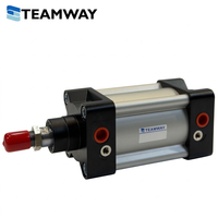 Cylindre pneumatique à piston standard TEAMWAY DN, alésage 32-100 mm, course 25-500 mm, en alliage d'aluminium, garantie 1 an pour Airtac SI
