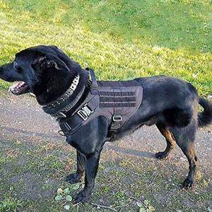 Tactical <b>Training</b> <b>Vest</b> For Outdoor Walking Hiking And Patrol Use <b>Dog</b> Tactical <b>Vest</b> With Handle Durable - Product Image 4