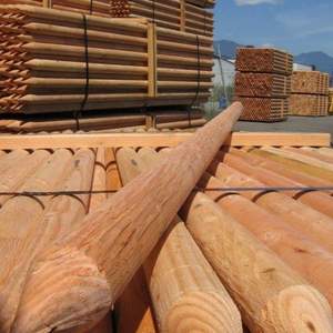 Estacas y Postes de Madera Dura para Jardín - Para Cercas, Soporte de Árboles, Bordes de Jardín, Hogar, Granja y Agricultura - Product Image 1