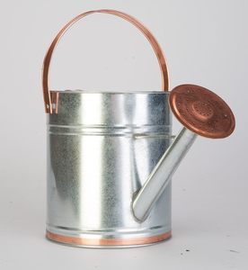 Regadera de acero galvanizado de primera calidad para jardinería profesional - Product Image 1