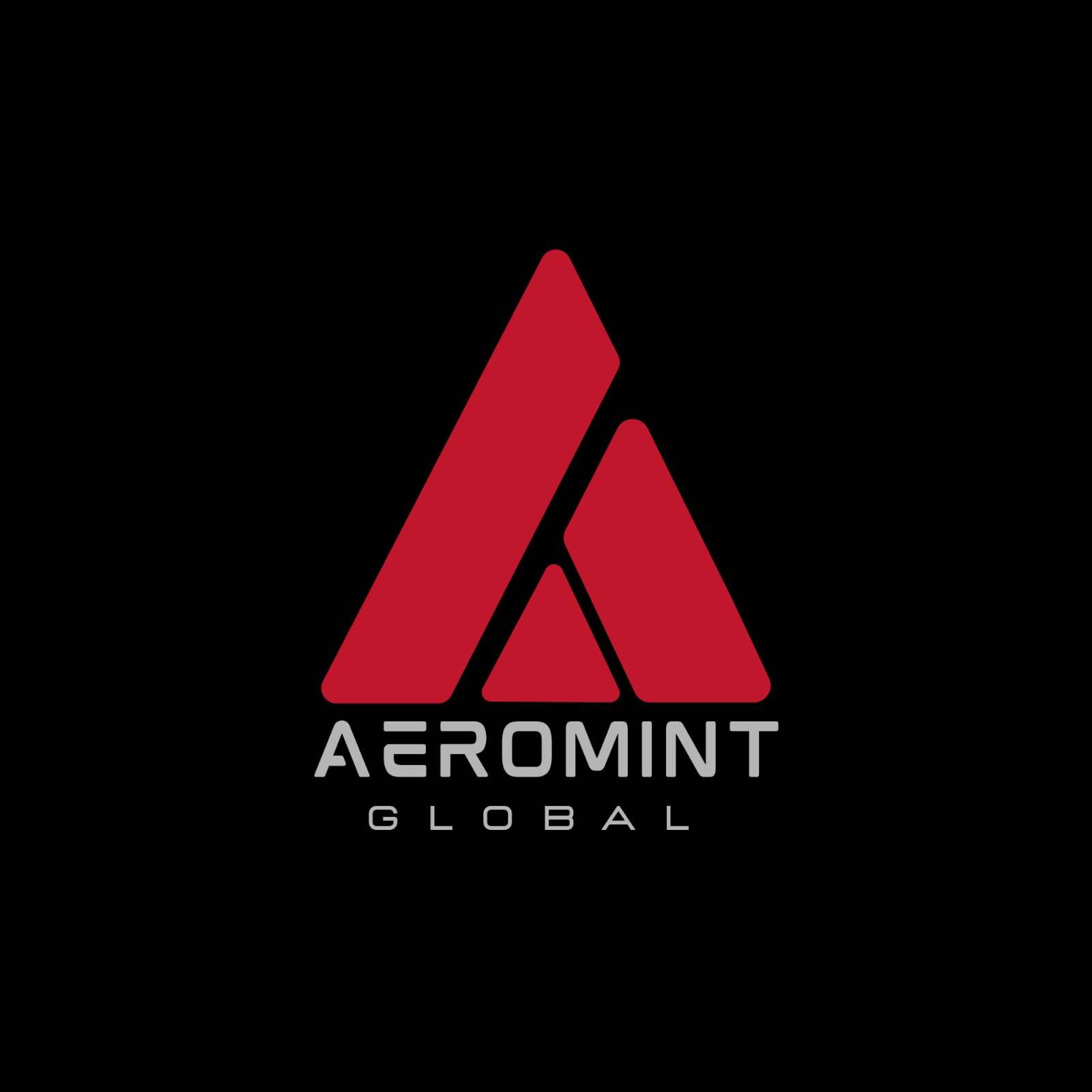 AEROMINT GLOBAL logo