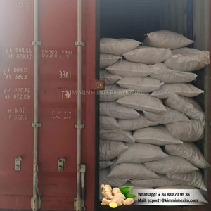 Gingembre entier séché de qualité supérieure, naturel, épicé et aromatique du Vietnam, fournisseur en gros pour l'exportation - Product Image 5