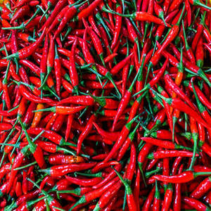Piment rouge séché 100 % pur de qualité supérieure, entier, séché à l'air (AD), sans tige, Fittree International Export, épices et herbes en vrac - Product Image 1