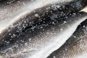 VENTE FLASH - Peau de poisson basa, filet de dorade congelé avec procédé BQF, emballage en vrac de 5 kg, meilleure qualité et prix - Hazel - Product Image 5