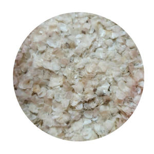 VENDO ESCALAS DE PESCADO CRUDO SECAS DE CALIDAD CON PRECIOS BAJOS EN 2024/Sra. Thi - Product Image 1