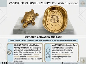 Handcrafted Brass Tortoise Vastu Plate Set Feng Shui Turtle Decorative Tray for Home Decor Spiritual Gift and Office Use India - Product Image 5