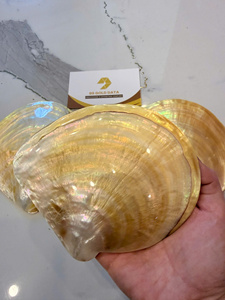 Coquille de nacre à l'éclat opale |   ROSE BIOLOGIQUE JAUNE NOIR |   ARTISANAL 15-30CM - Product Image 2