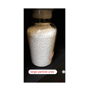 Urea de Alta Pureza 46 Granular Bajo en Biureto 0.5% para el Crecimiento de Orquídeas y Plantas Ornamentales en Venta - Product Image 3
