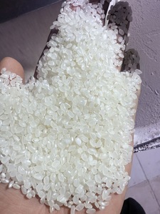 Fournisseur en gros de riz japonica de haute qualité proposant du riz à grains courts pour les services de restauration de sushis et les marchés mondiaux - Product Image 6