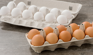 Œufs de poule frais de ferme en gros, qualité supérieure, œufs bruns et blancs pour la restauration, la vente au détail, l'épicerie et l'approvisionnement des restaurants - Product Image 4