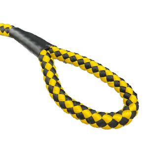 Correa de Nailon Redonda Sólida con Rayas de Encaje Ecológica de Calidad Premium para Perros, Ideal para Paseos al Aire Libre - Product Image 6