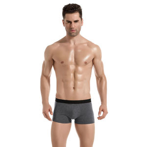 Ropa Interior Sexy de Punto Elástico para Hombre, Calzoncillos Tipo Bóxer Antibacterianos - Product Image 2