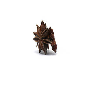 Anís estrellado indio fresco de temporada, especias enteras para fabricantes de alimentos, proveedores de ingredientes comerciales y empresas de importación global. - Product Image 4