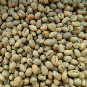Café Robusta en Gros Prix de Gros Grains de Café Grade 1 FAQ Nouvelle Récolte Fournisseur Vietnamien - Product Image 1